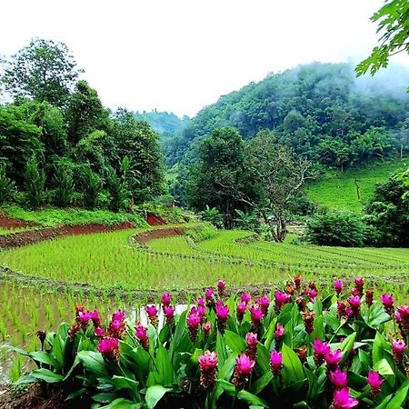 Ban Mae Pan Noi Kowitfarmstay מראה חיצוני תמונה