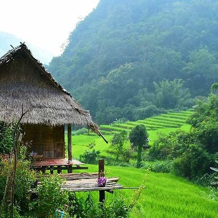 Ban Mae Pan Noi Kowitfarmstay מראה חיצוני תמונה