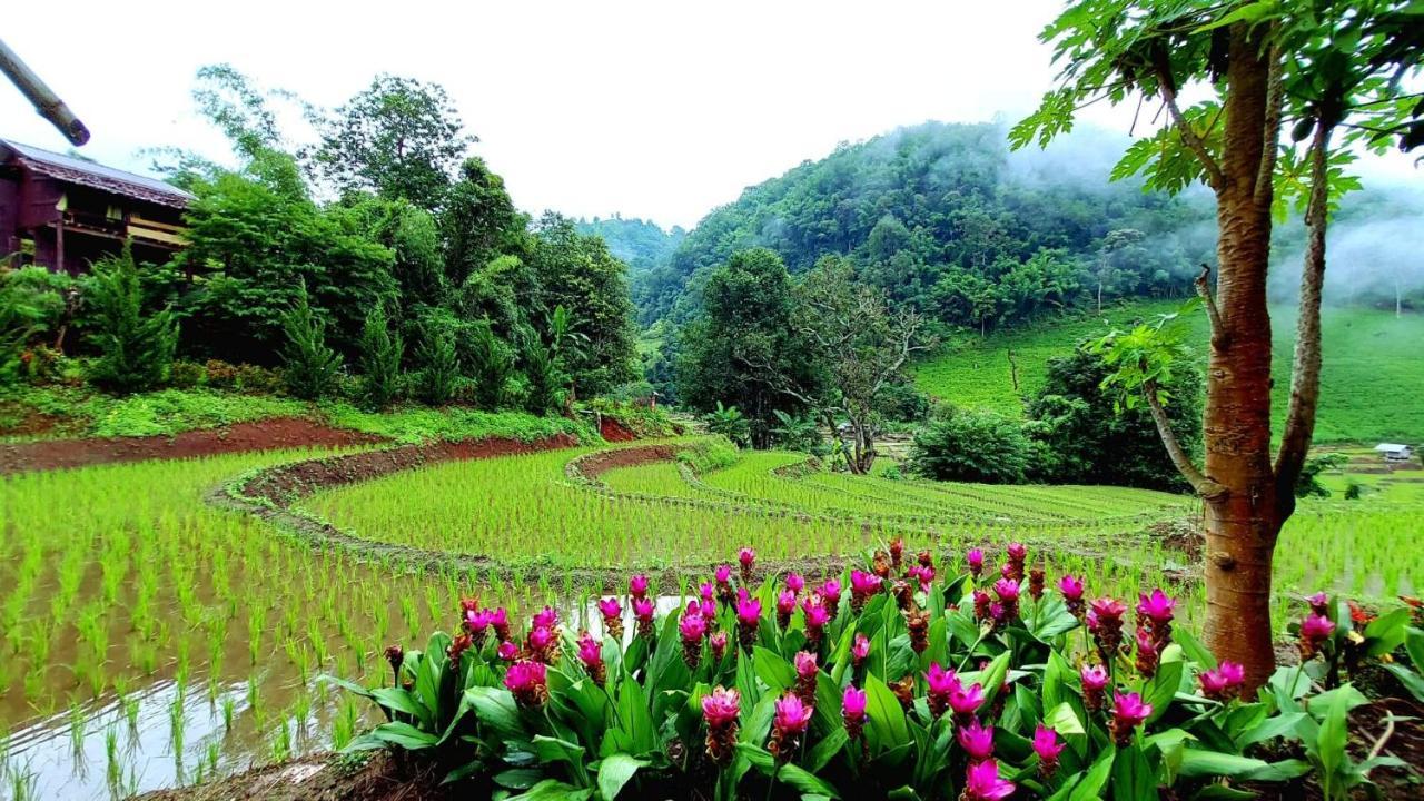 Ban Mae Pan Noi Kowitfarmstay מראה חיצוני תמונה