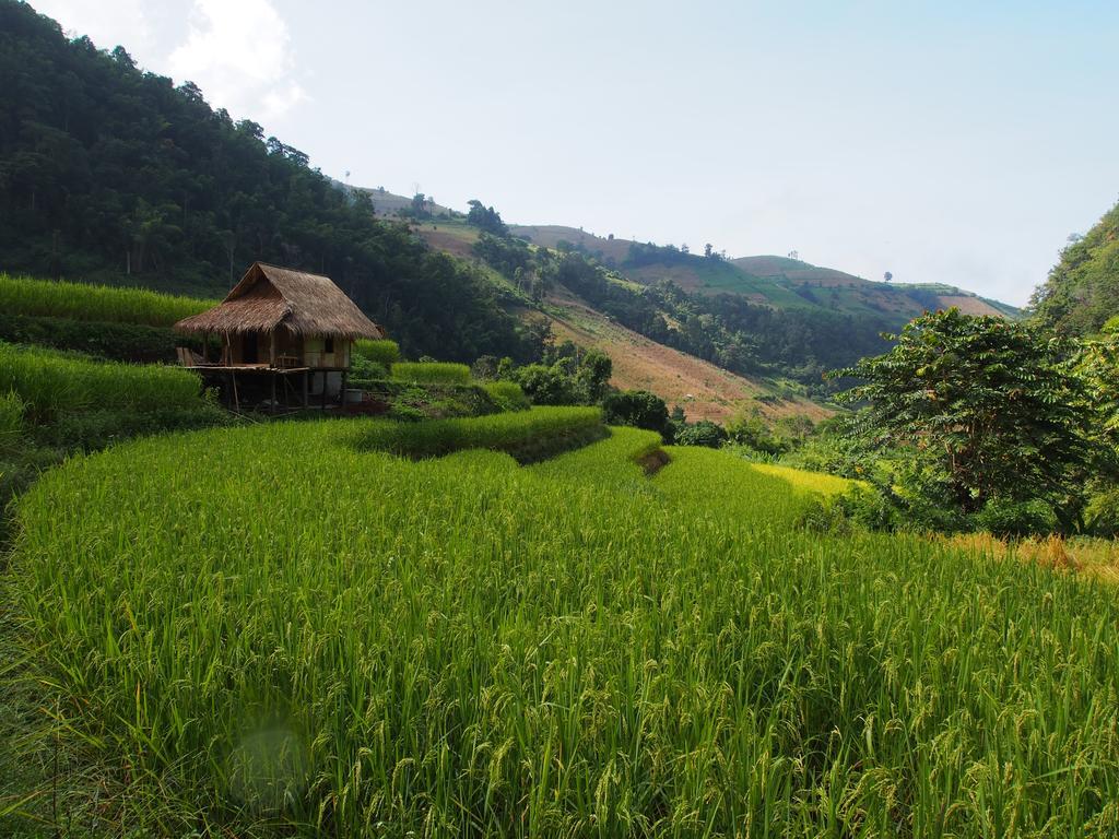 Ban Mae Pan Noi Kowitfarmstay מראה חיצוני תמונה