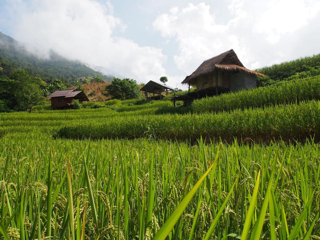 Ban Mae Pan Noi Kowitfarmstay מראה חיצוני תמונה