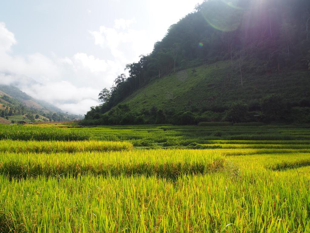 Ban Mae Pan Noi Kowitfarmstay מראה חיצוני תמונה