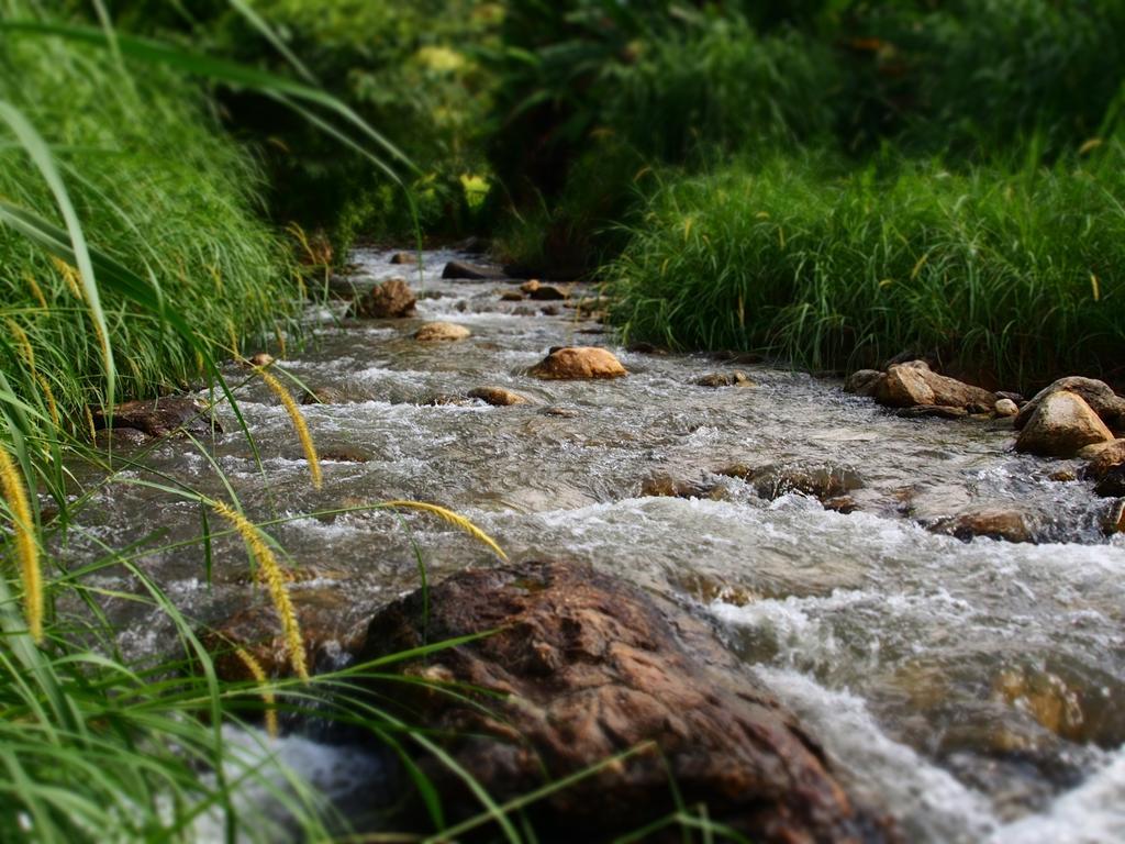 Ban Mae Pan Noi Kowitfarmstay מראה חיצוני תמונה