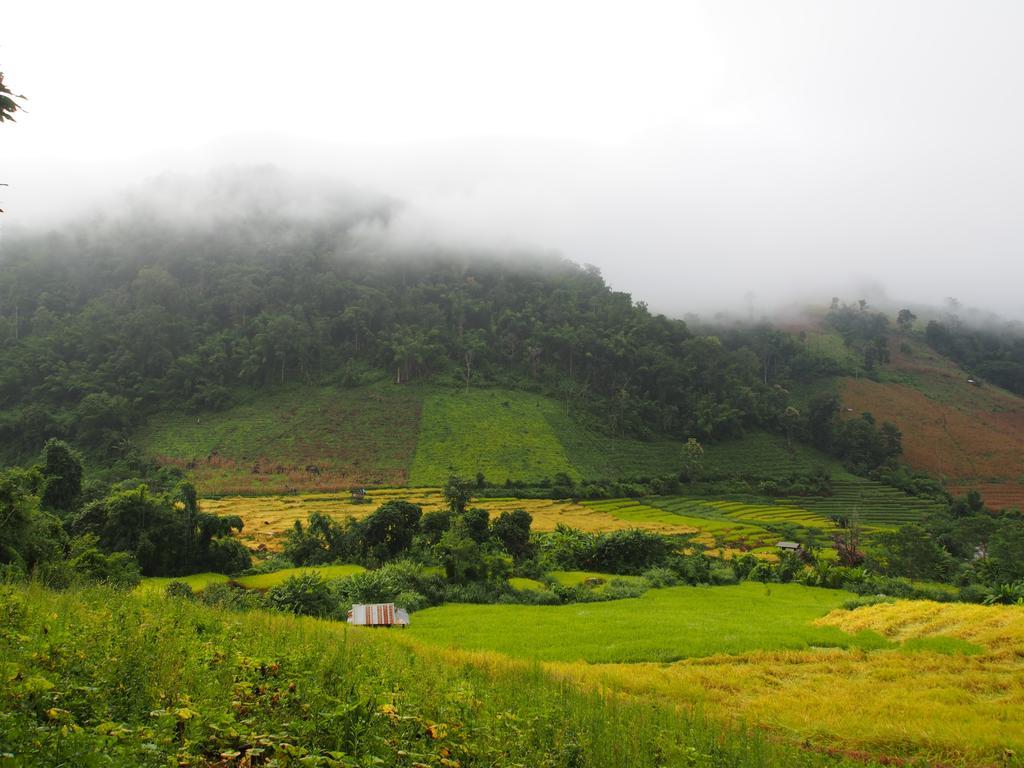 Ban Mae Pan Noi Kowitfarmstay מראה חיצוני תמונה