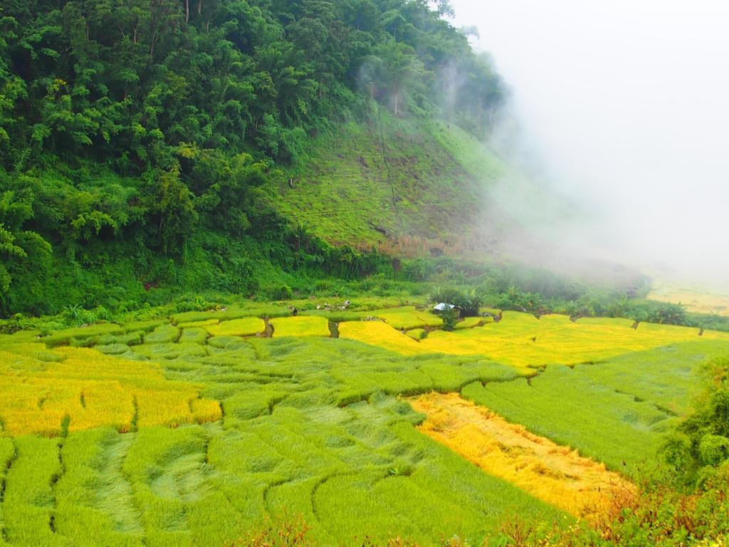 Ban Mae Pan Noi Kowitfarmstay מראה חיצוני תמונה