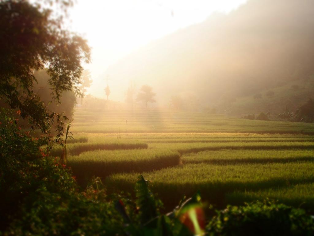 Ban Mae Pan Noi Kowitfarmstay מראה חיצוני תמונה