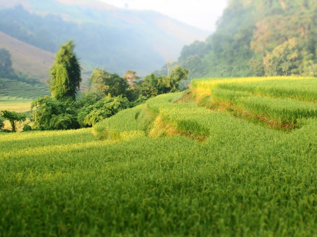 Ban Mae Pan Noi Kowitfarmstay מראה חיצוני תמונה