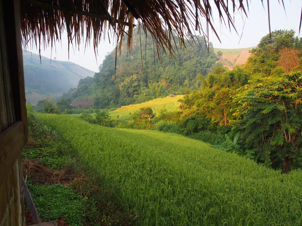 Ban Mae Pan Noi Kowitfarmstay מראה חיצוני תמונה