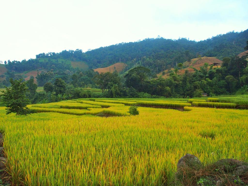 Ban Mae Pan Noi Kowitfarmstay מראה חיצוני תמונה