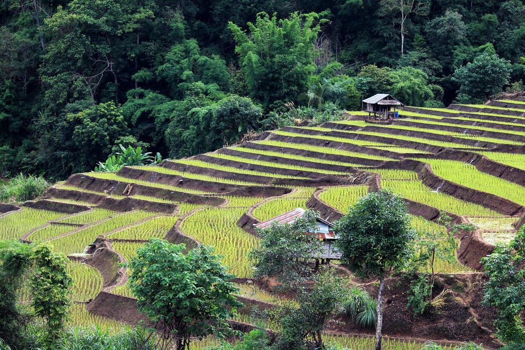 Ban Mae Pan Noi Kowitfarmstay מראה חיצוני תמונה