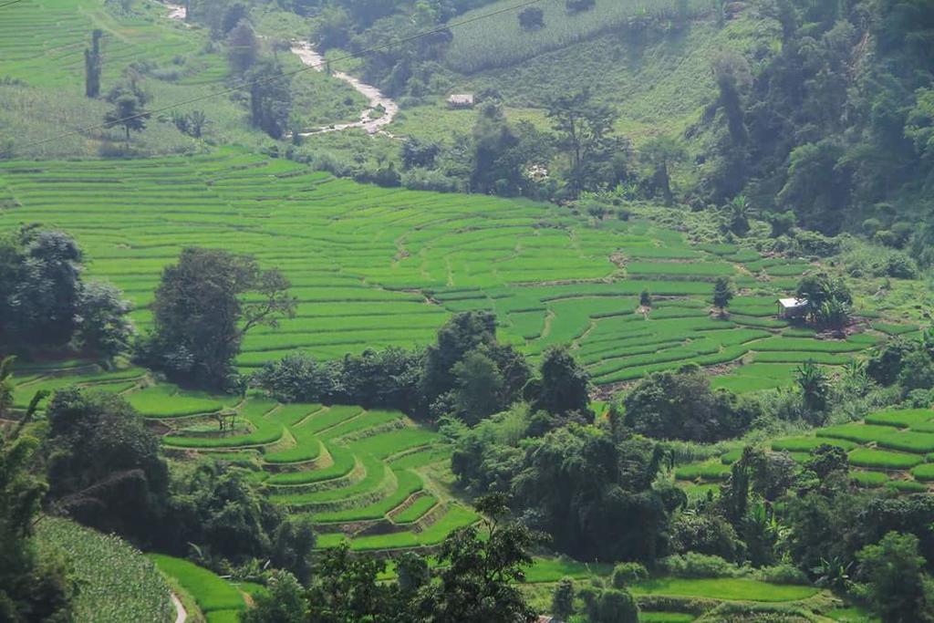 Ban Mae Pan Noi Kowitfarmstay מראה חיצוני תמונה