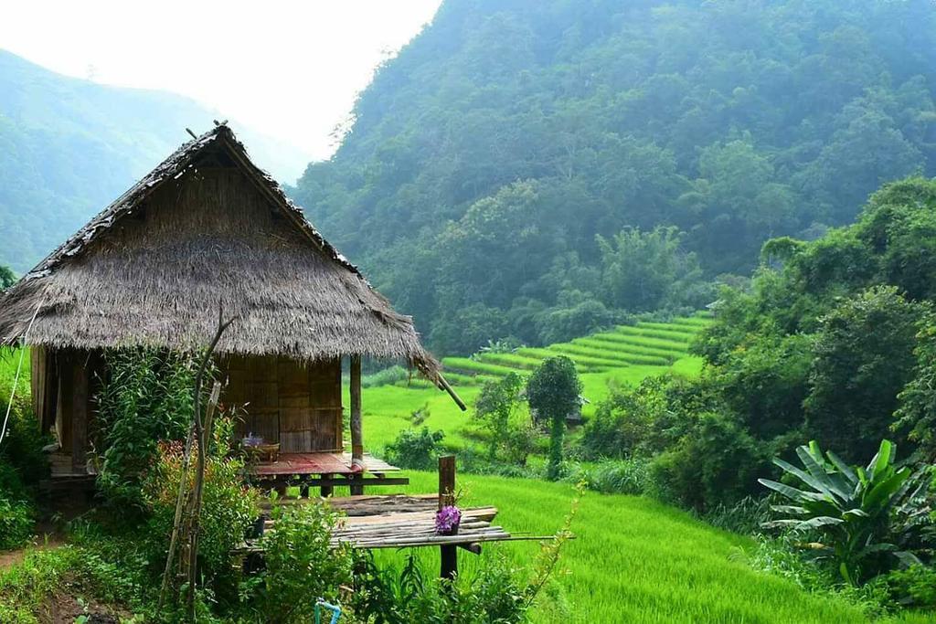 Ban Mae Pan Noi Kowitfarmstay מראה חיצוני תמונה