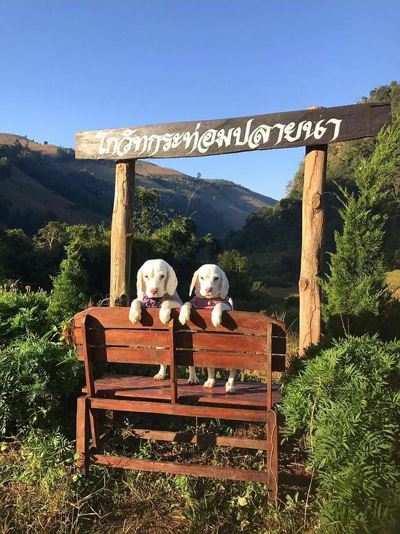 Ban Mae Pan Noi Kowitfarmstay מראה חיצוני תמונה