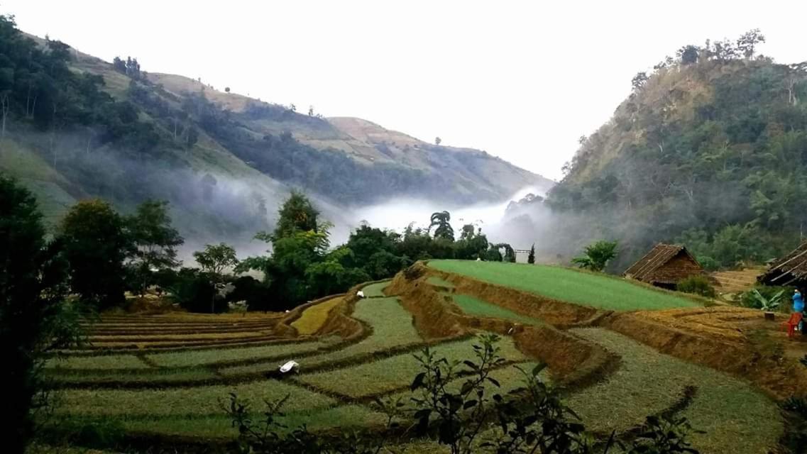Ban Mae Pan Noi Kowitfarmstay מראה חיצוני תמונה